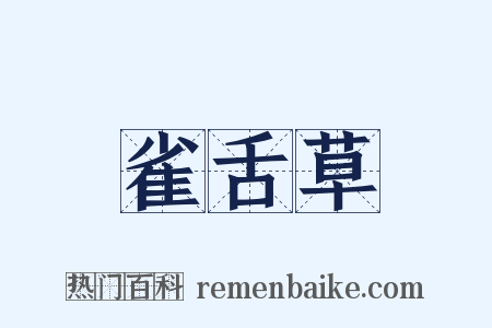 雀舌草是什么意思的图片